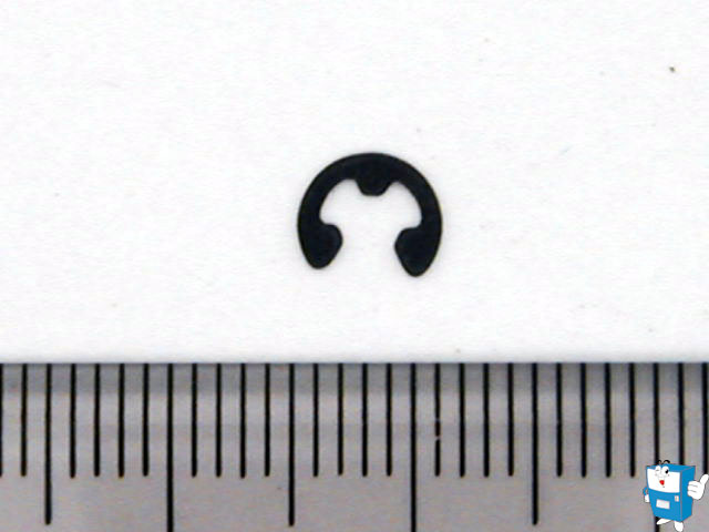 지폐 E-RING (캔 210)