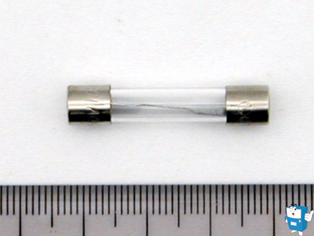FUSE 中 (30mm) 250V 10A