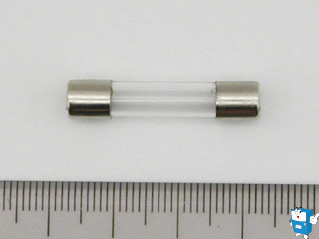 FUSE 中 (30mm) 250V 3A