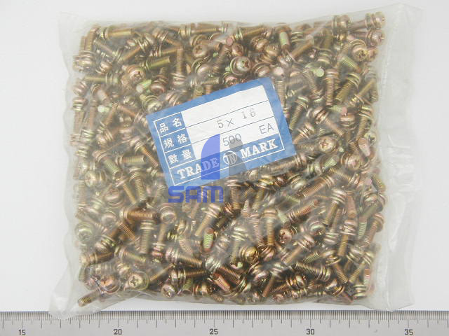SCREW (P/MS S+P) 5x16mm      x