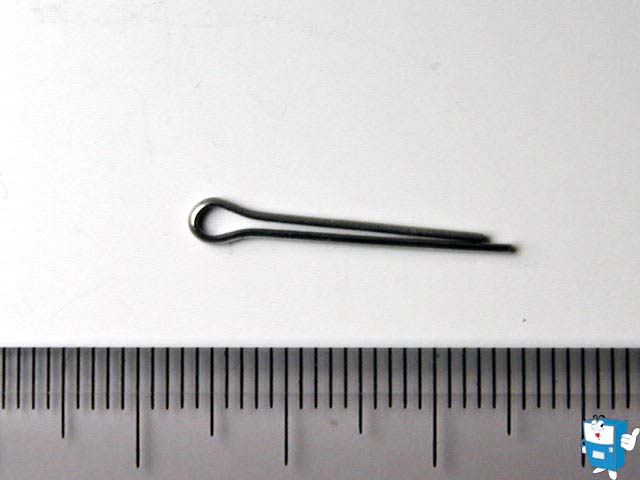 플로트 PIN