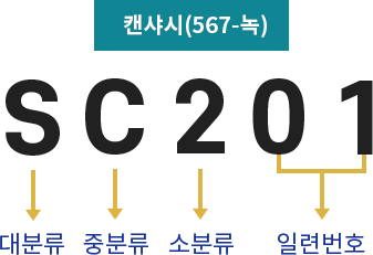 코드분류